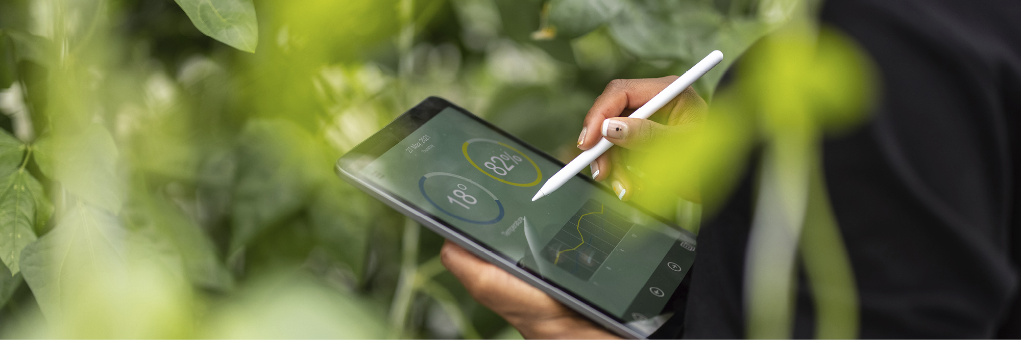 data on a tablet